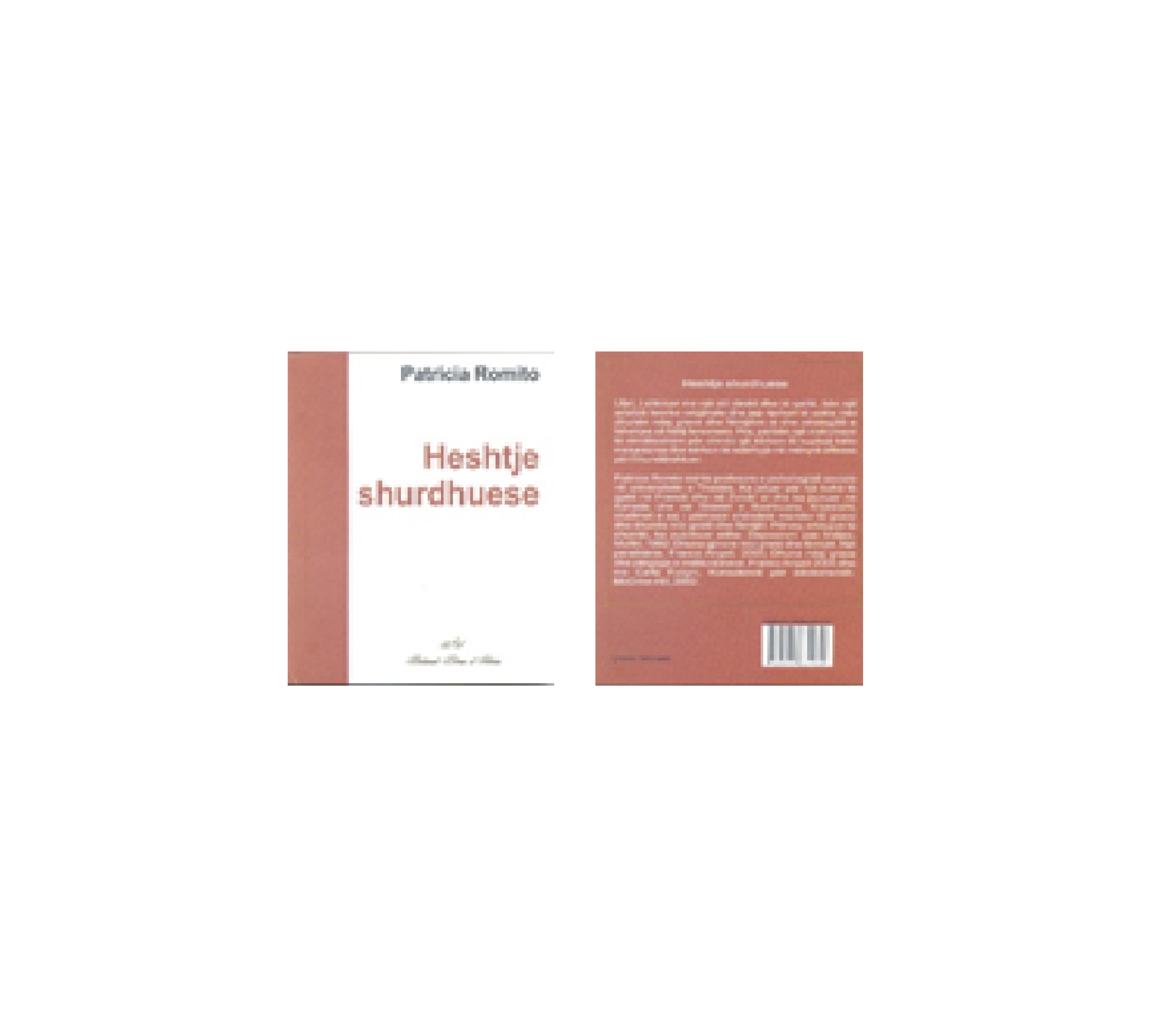 HESHTJE SHURDHUESE (A deafening silence) – Author: Patrizia Romito